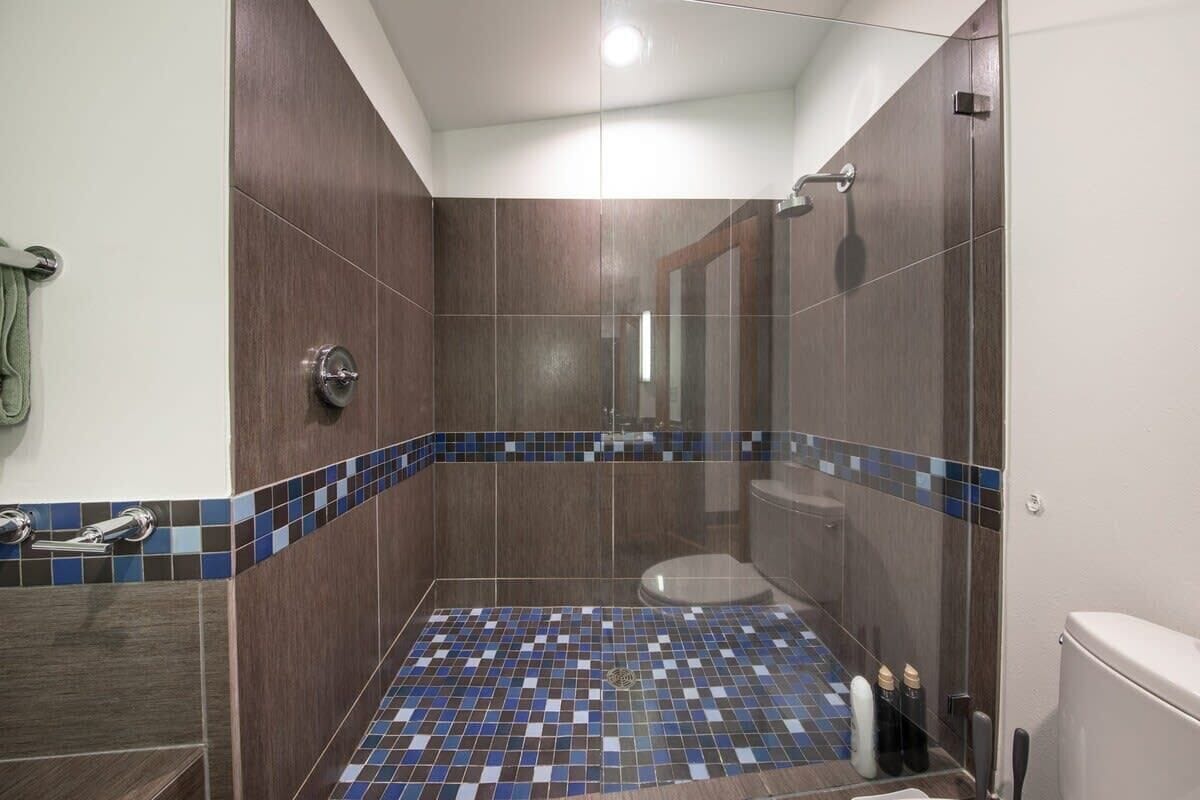 Shower, hair dryer, towels