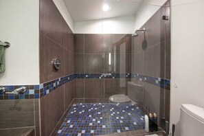 Dusche, Haartrockner, Handtücher