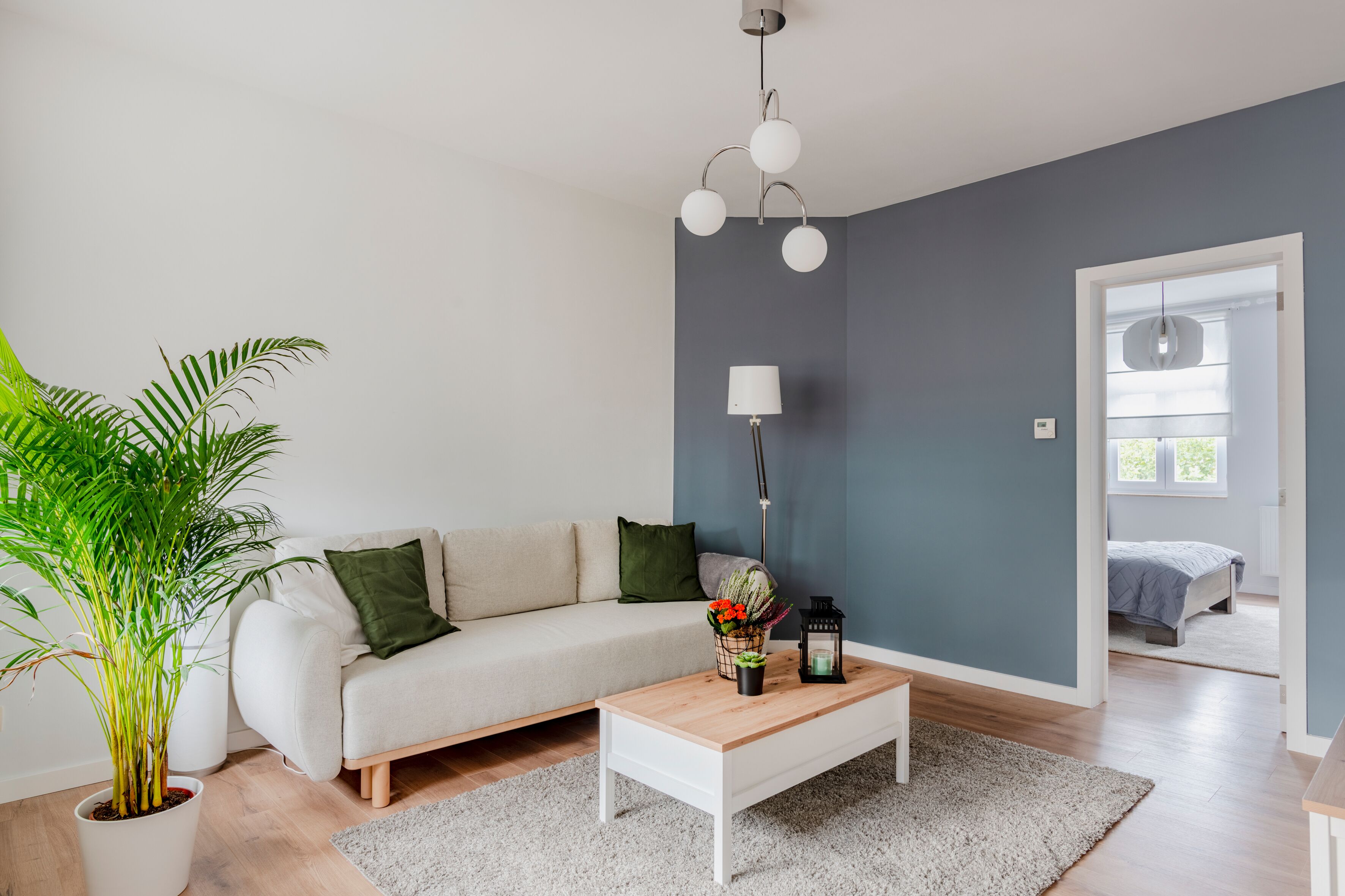 A modern living room with a sofa, a coffee table, a potted plant, and a lamp.