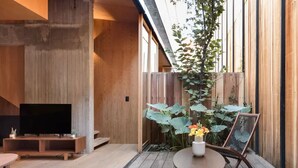 A modern living room with a flat-screen TV, wooden furniture, and a potted plant. - Eco Loft with Terrace Garden & Gym Access (Ciudad de México)