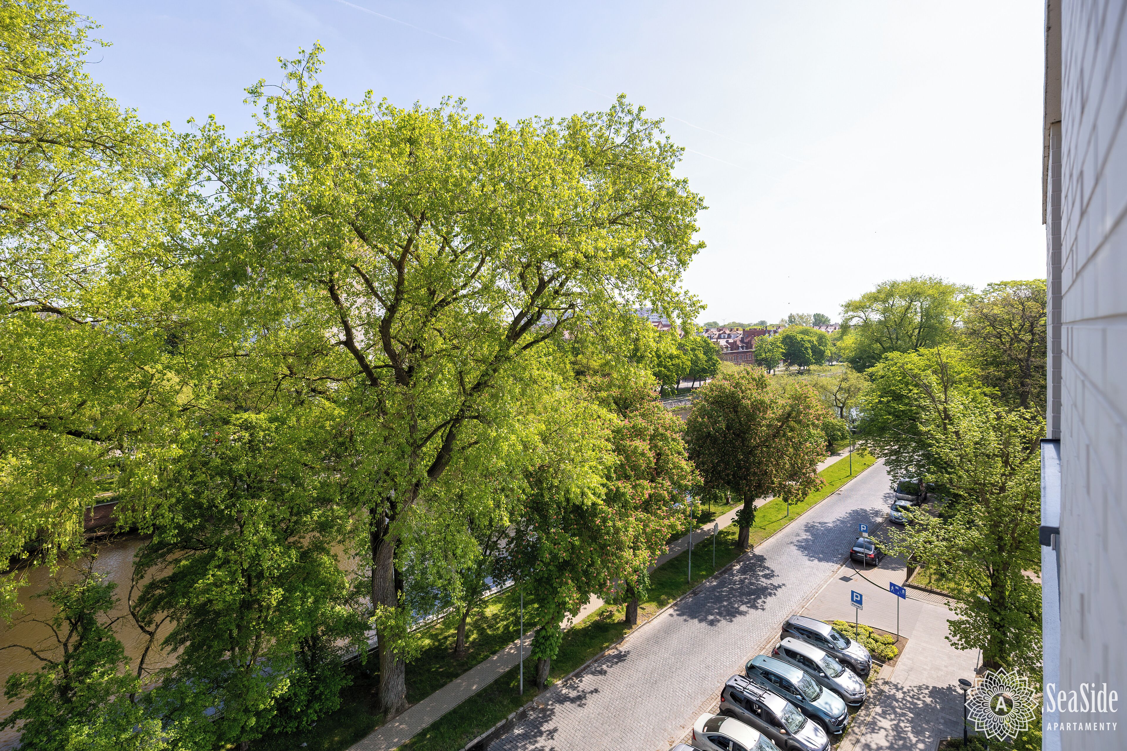 A residential area with a street lined with parked cars and trees.