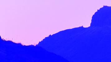 Individually decorated, desk, free WiFi, bed sheets