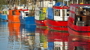 A marina with several boats docked. - Seaside Apartamenty Kasprowicza 14  (Kolobrzeg)