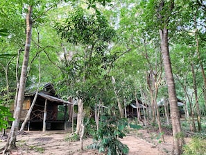 A rustic wooden structure surrounded by dense forest.