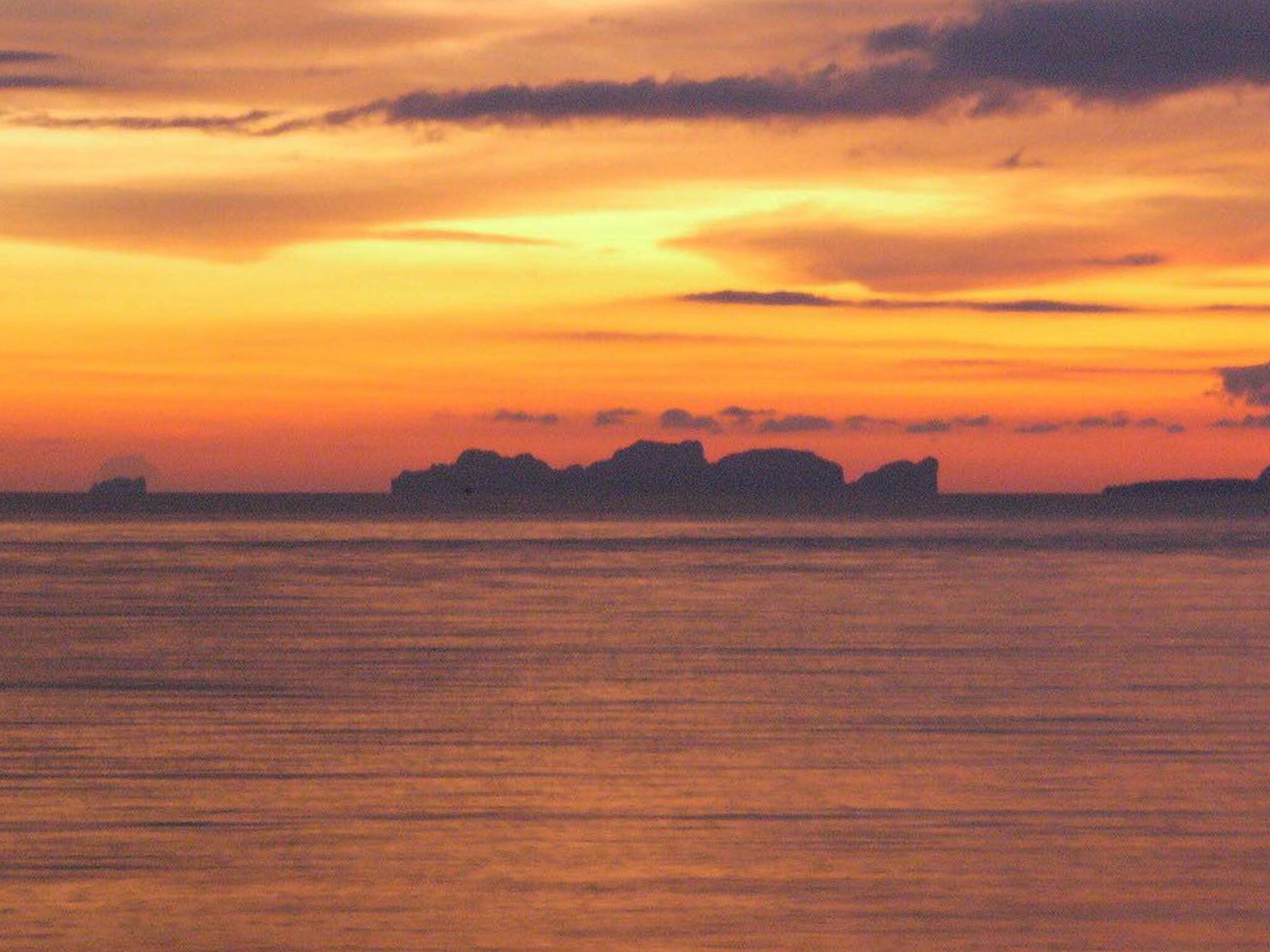 ビーチ