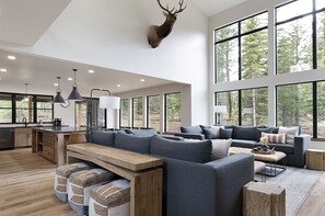 Télévision, cheminée, jeux vidéo