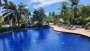 Una piscina a forma curva, circondata da palme e lettini.