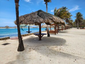 Nära stranden