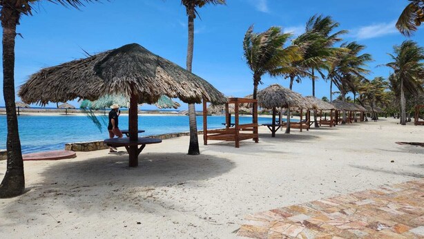 Una spiaggia con ombrelloni di paglia, palme e un mare cristallino.
