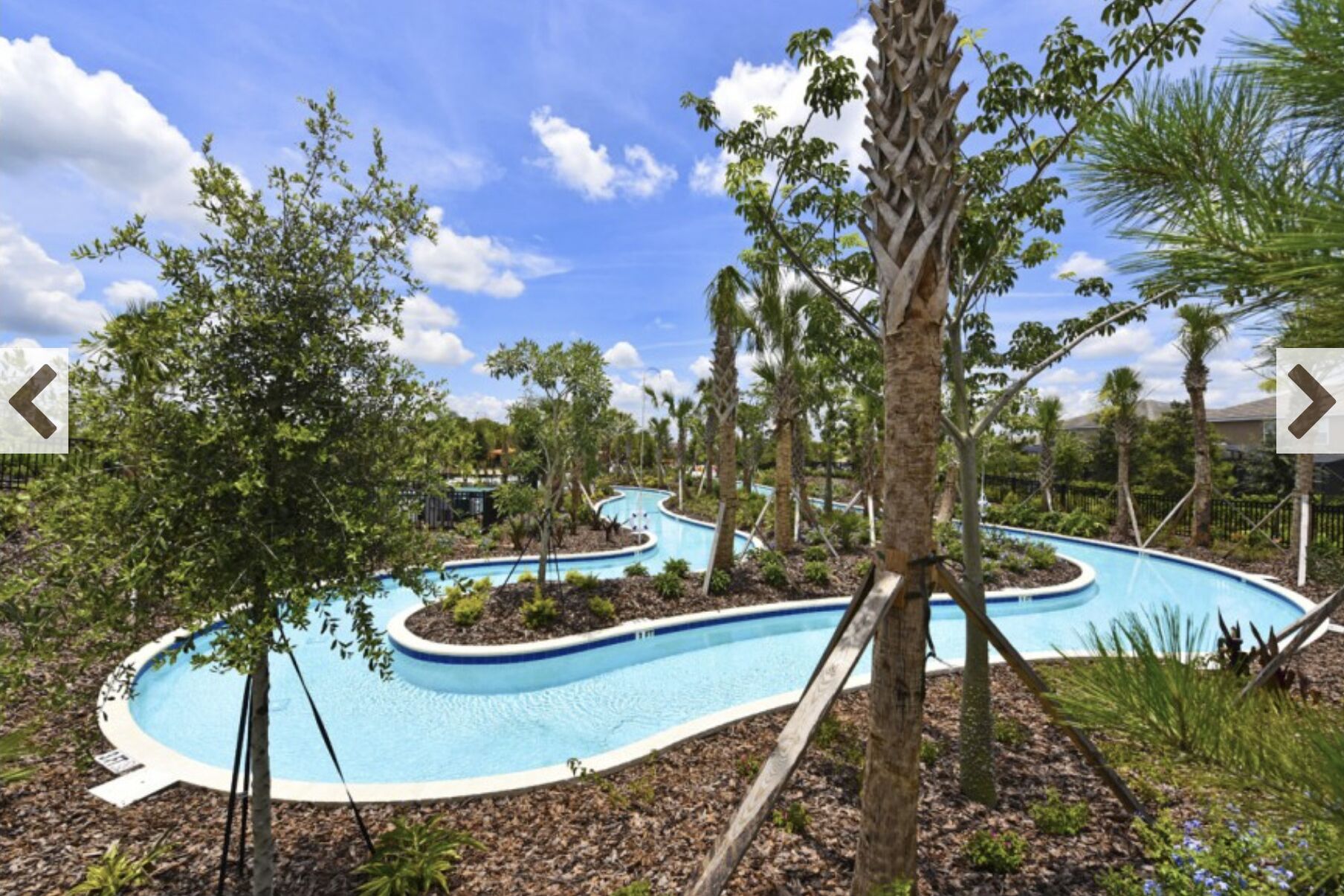 Une piscine au design incurvé, entourée d’arbres et d’arbustes.