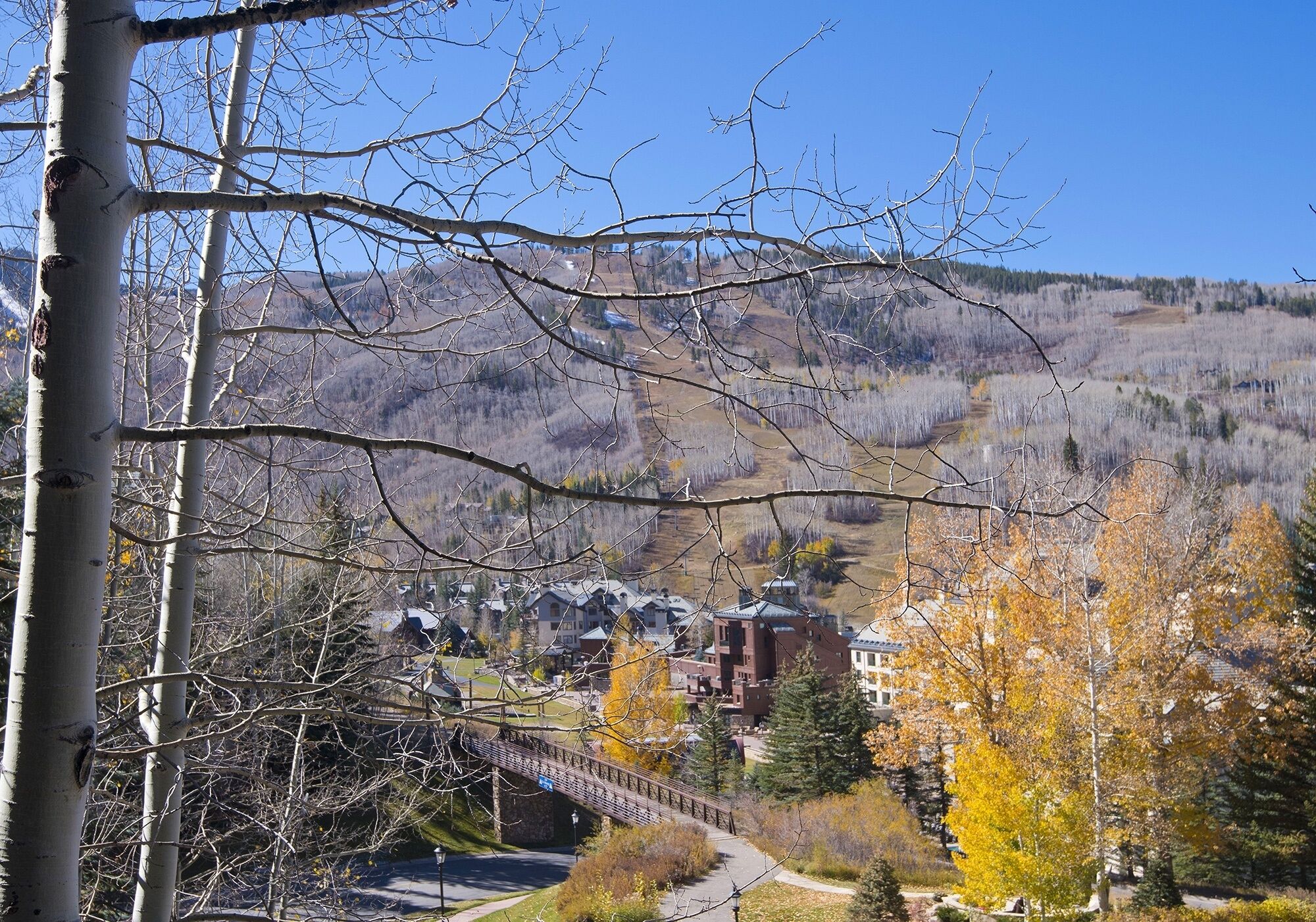 A town with a bridge, buildings, and autumn foliage.