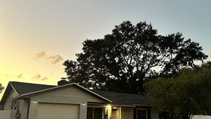A single-story house with a garage, a covered patio, and a large tree in front. - Cozy and Modern apartment (Seffner)