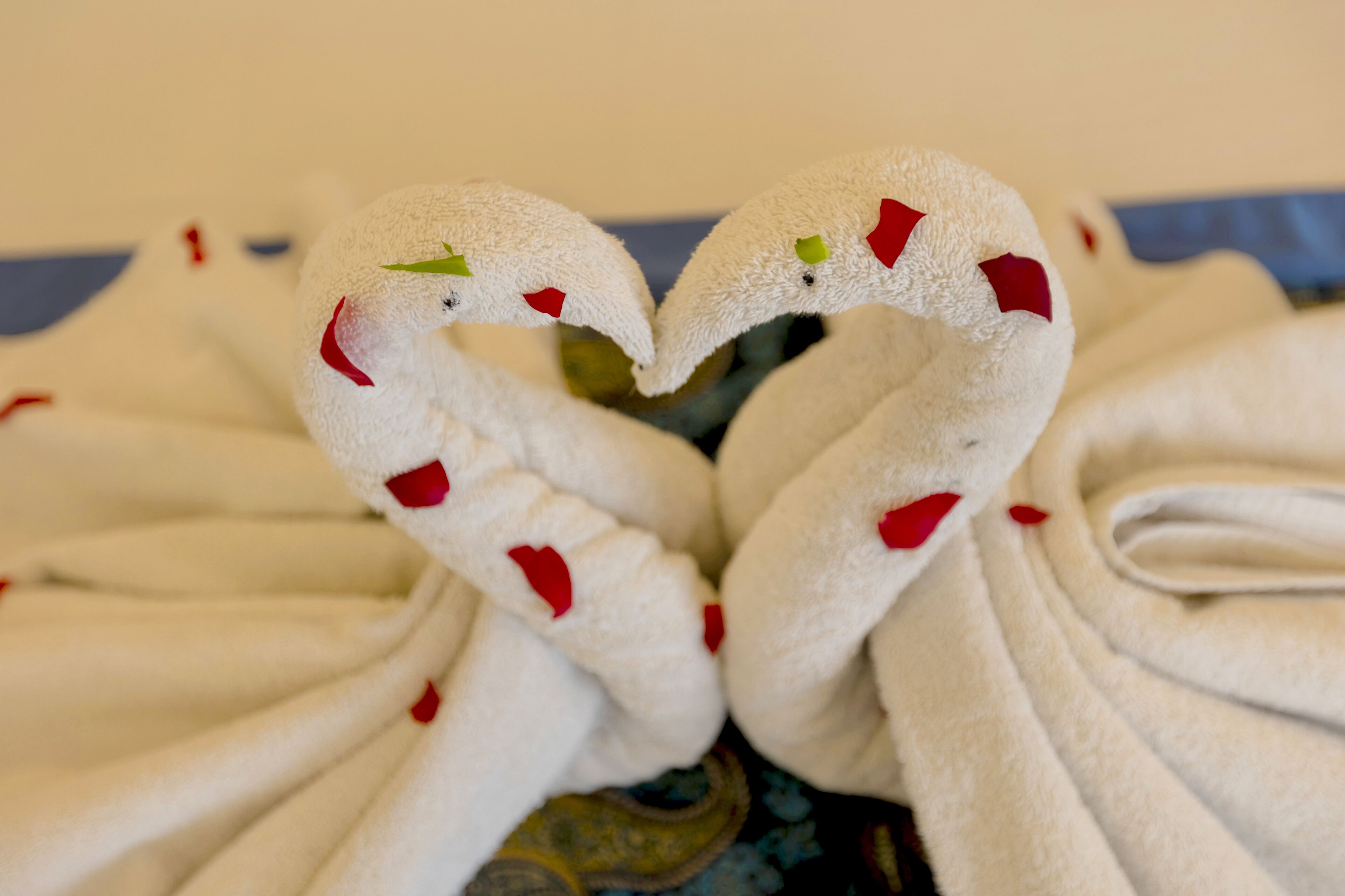 Foto - OPO Hotel Dior,Delhi Airport