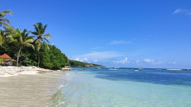 A beach with clear turquoise water, white sand, and palm trees. - Studio vue mer Gwada ds Village Vacances Ste Anne (Sainte-Anne)