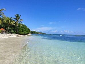 Een strand met helder turquoise water, wit zand en palmbomen.