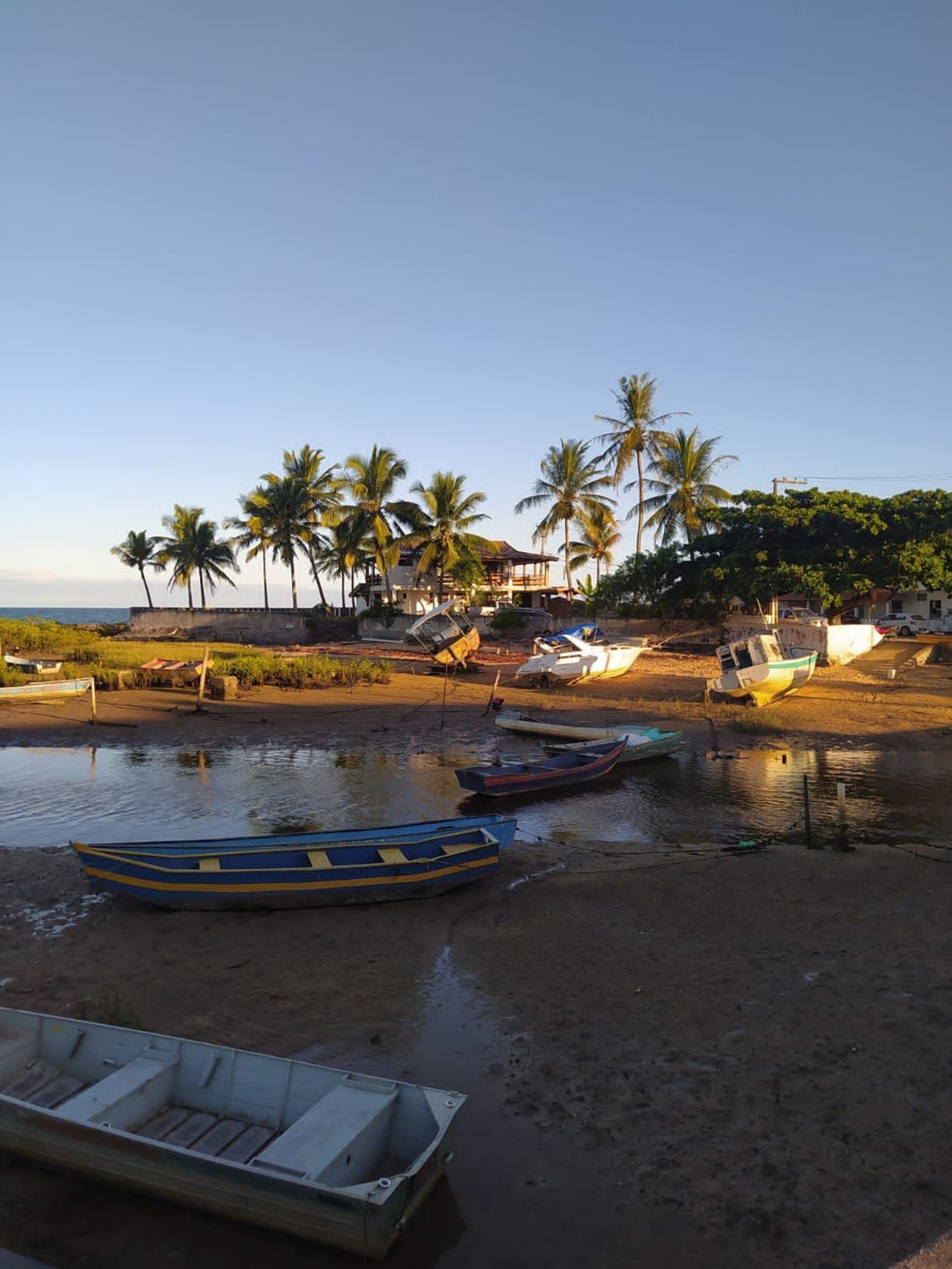 A beach with boats, palm trees, and a building in the background.
