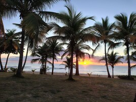Una playa con palmeras y un atardecer sobre el océano.