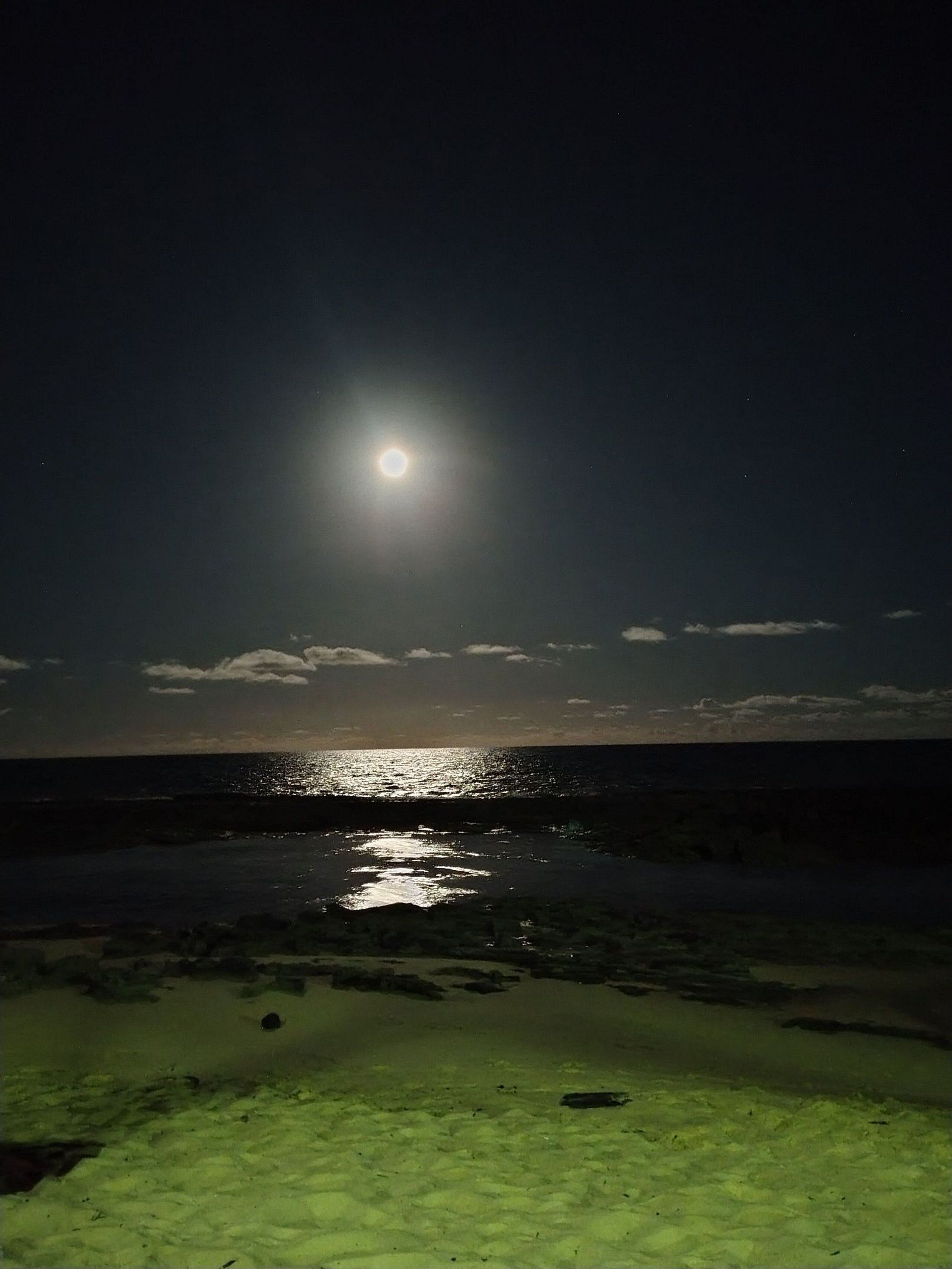 Escena nocturna de una playa con una luna brillante y el océano.