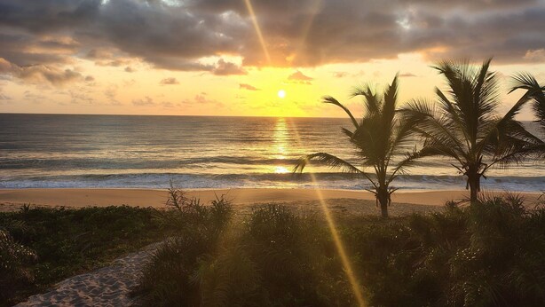 Una playa con palmeras, olas del océano y un atardecer.