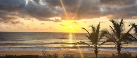 Tremannsrom | Strand | På stranden, hvit sand, parasoller og strandhåndklær