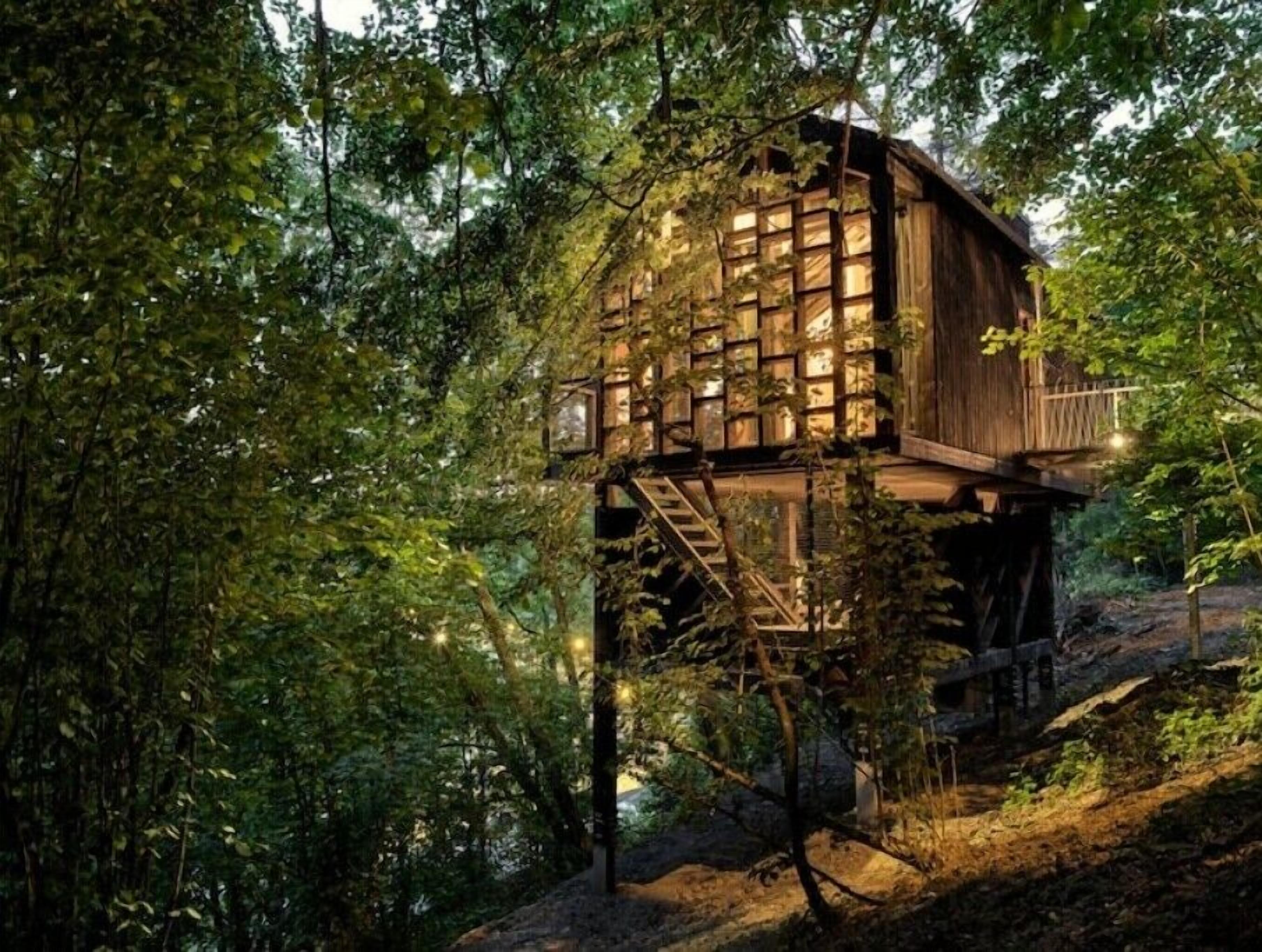 Hutstuf cabin The Eagle with private sauna
