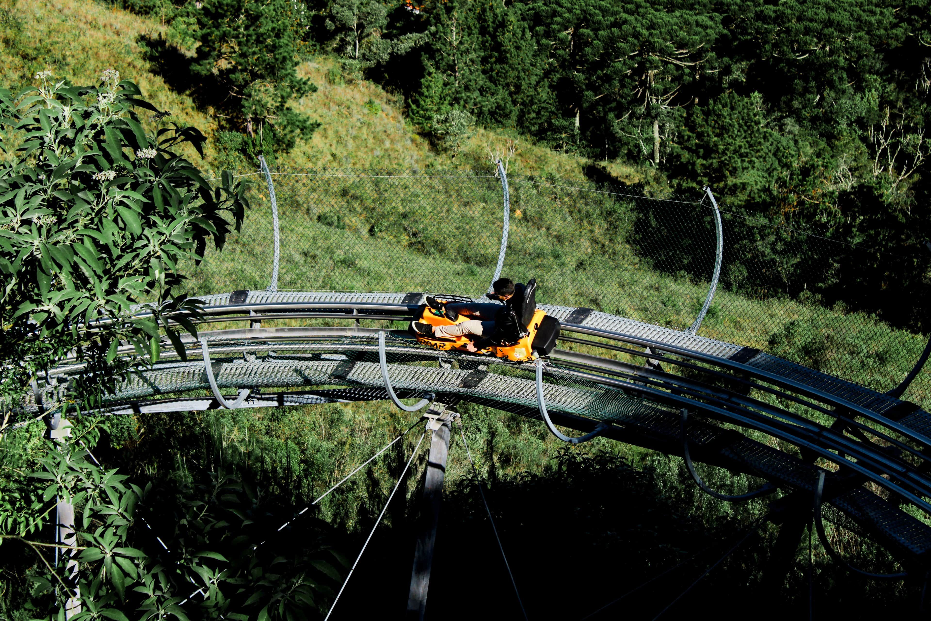 A person on a suspended bridge with a safety harness, surrounded by greenery.
