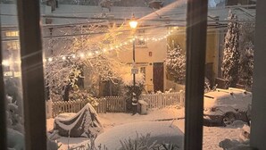Vue depuis l’hébergement