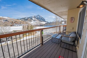Property grounds - A perfect condo for your ski vacation! Shared hot tub, stunning views and amazin (Mt. Crested Butte)
