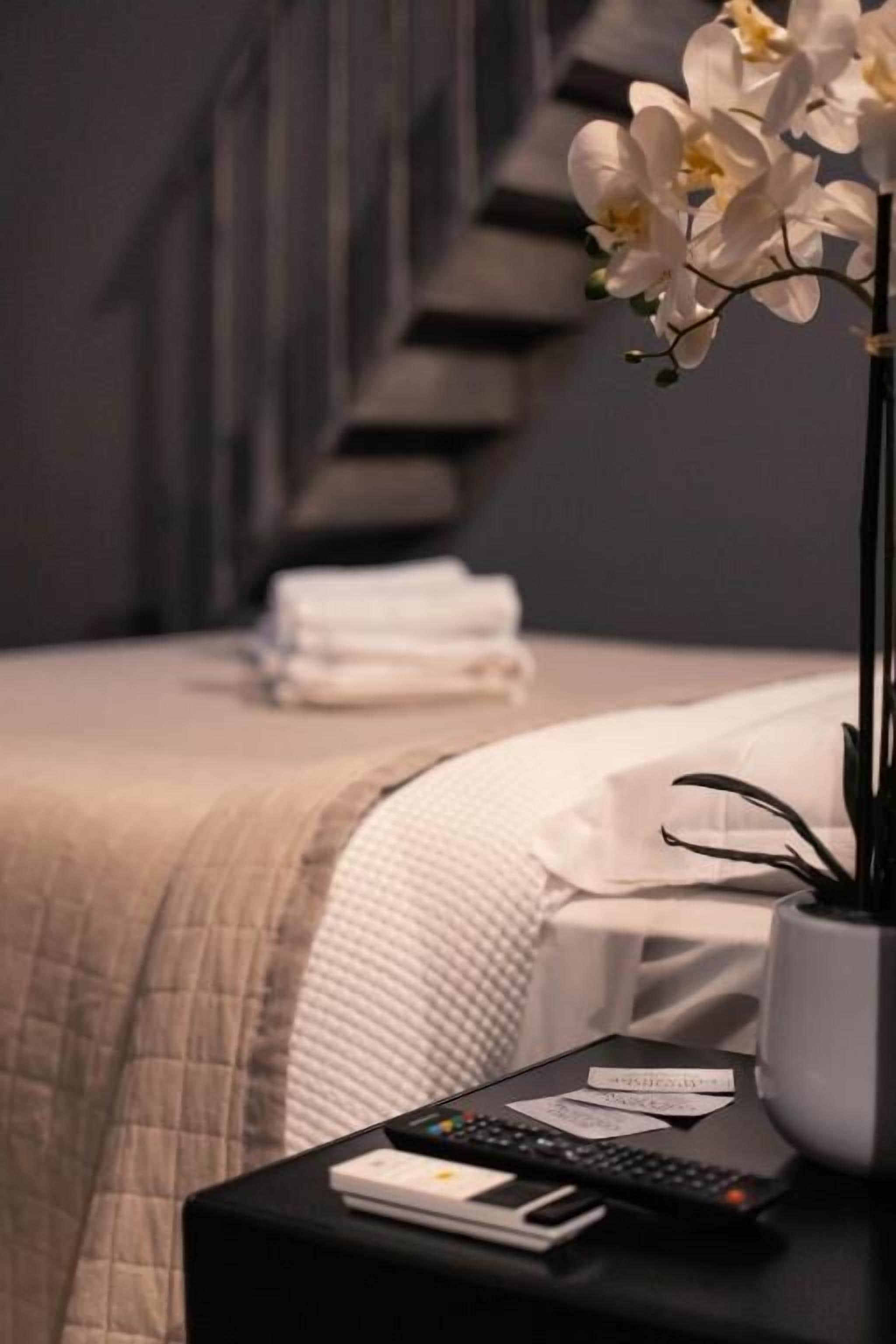 Foto - Palazzo Oliveto