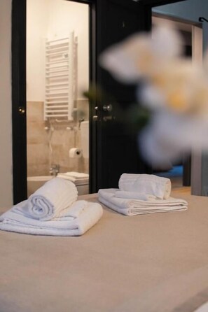 Ducha, artículos de tocador gratuitos, secador de pelo, bidet