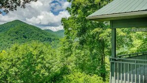 A gazebo with a sign reading "PLACID" in a lush green forest setting.