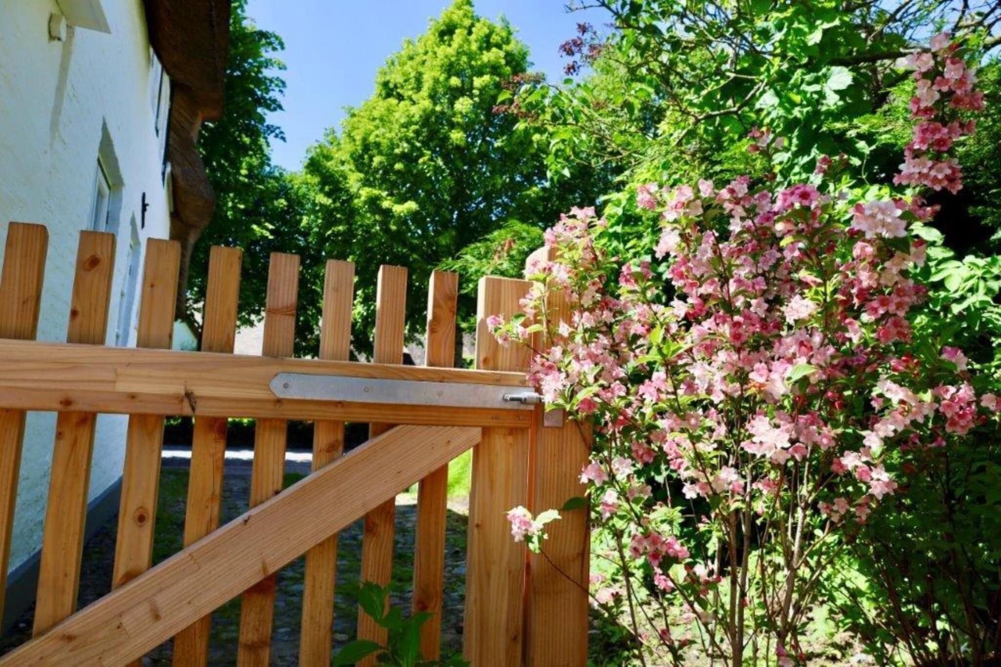 Um portão de madeira com uma trava de metal, cerca de madeira e um arbusto florido com flores cor-de-rosa.