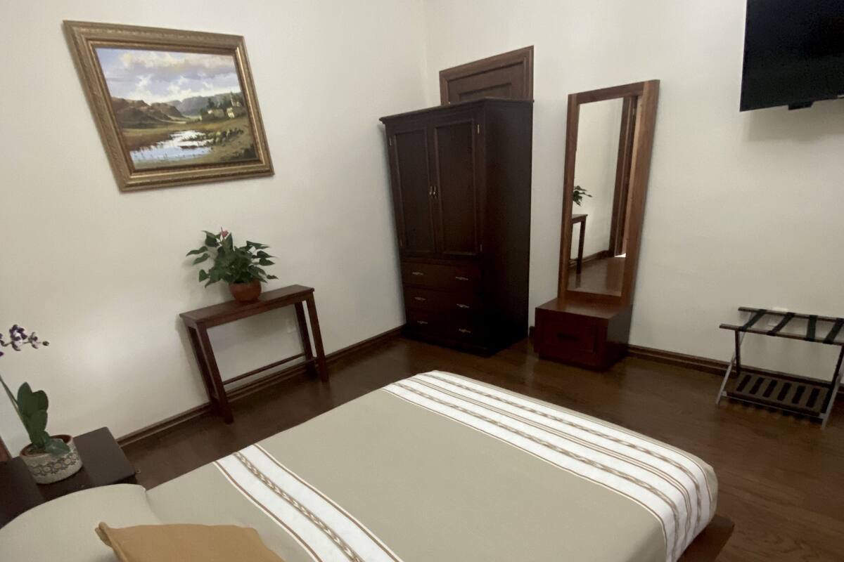 Un dormitorio con cama, armario, espejo, televisor y una mesita con una planta.