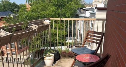 Brooklyn Sky! Cozy 2BR/2BA Windsor Terrace Condo with private rooftop terrace