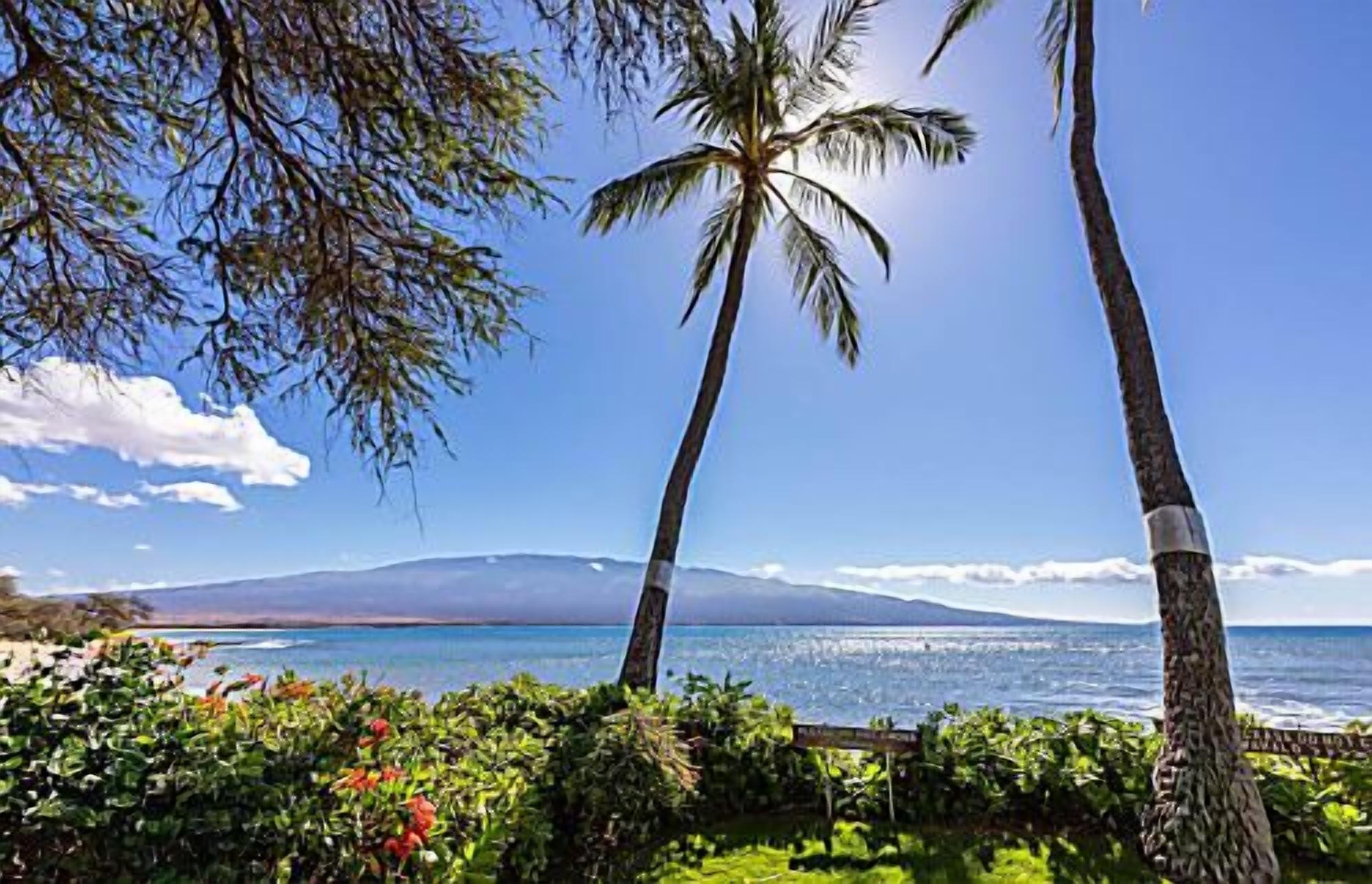 A tropical landscape with palm trees, a clear sky, and a view of the ocean.