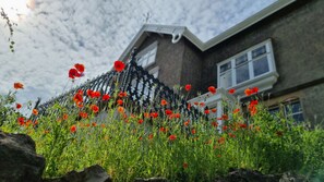 A house with a garden full of red poppies and a black wrought iron fence. - Mainsfield (Settle)