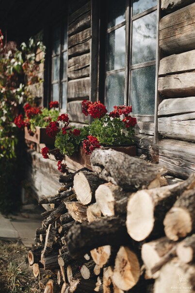 Delightful 3+1 room barn with indoor fireplace and activity garden.