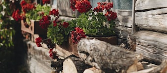 Delightful 3+1 room barn with indoor fireplace and activity garden.