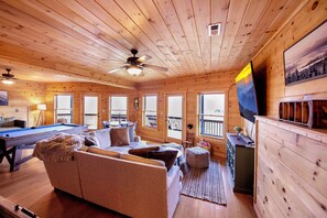 智能电视、壁炉、DVD 播放器、书