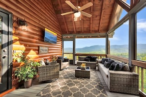 Smart TV, fireplace, DVD player, books