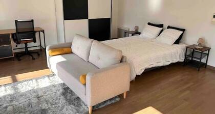 Grand Studio de 37m2 avec terrasse de 12m2