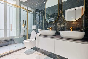 Shower, hair dryer, shampoo