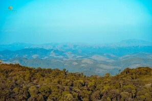 Miscellaneous - The Great Dining (Madikeri)