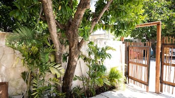 Entrada de la propiedad