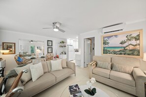 Smart TV, DVD player, books, video library