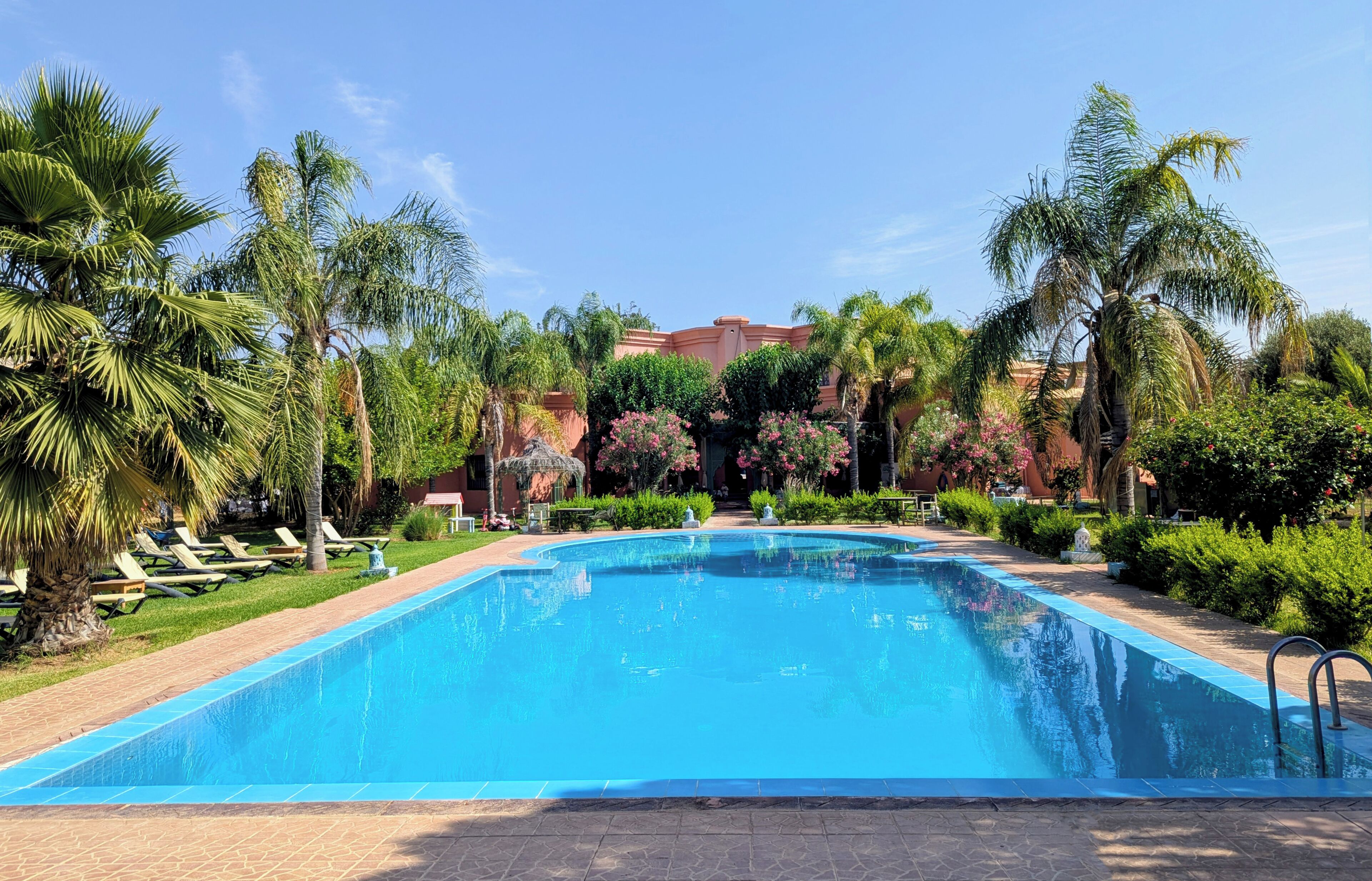 Photo - Las Palmeras