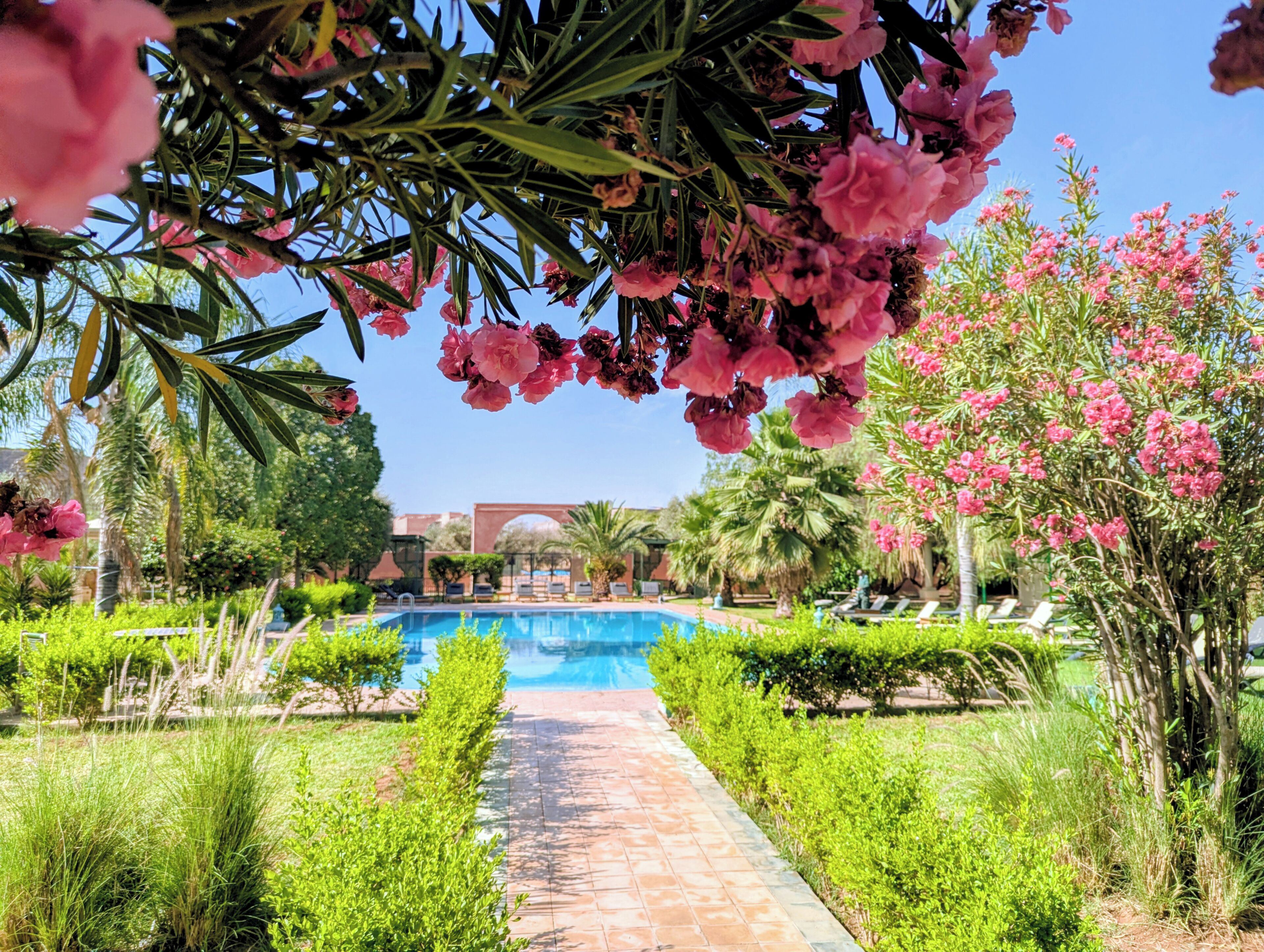 Photo - Las Palmeras