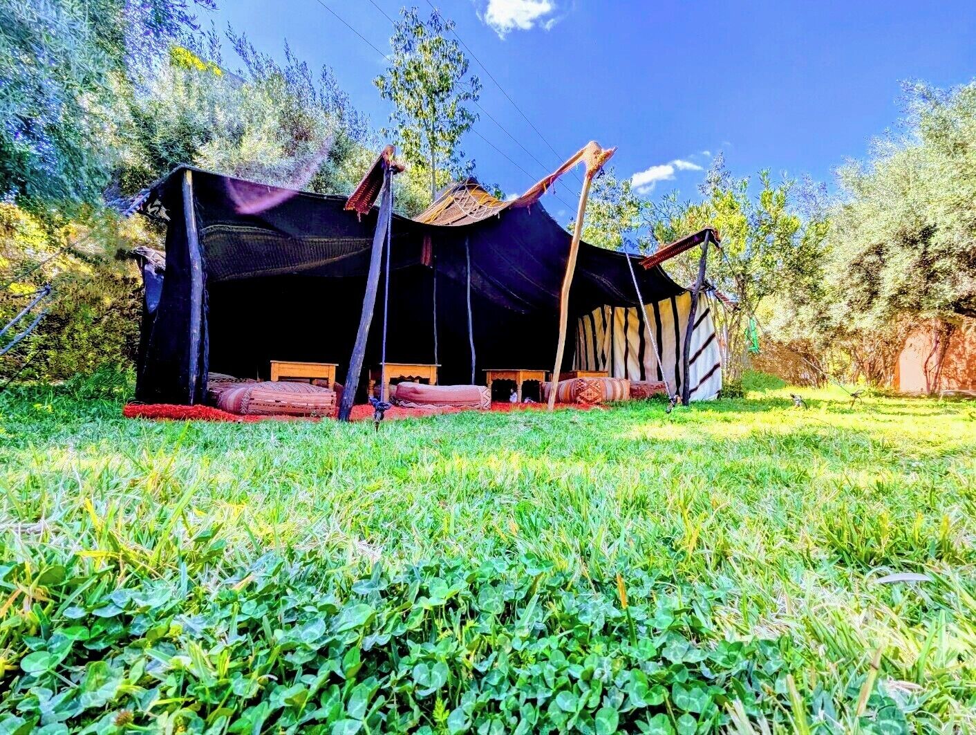 A tent-like structure with benches and a table, surrounded by greenery.