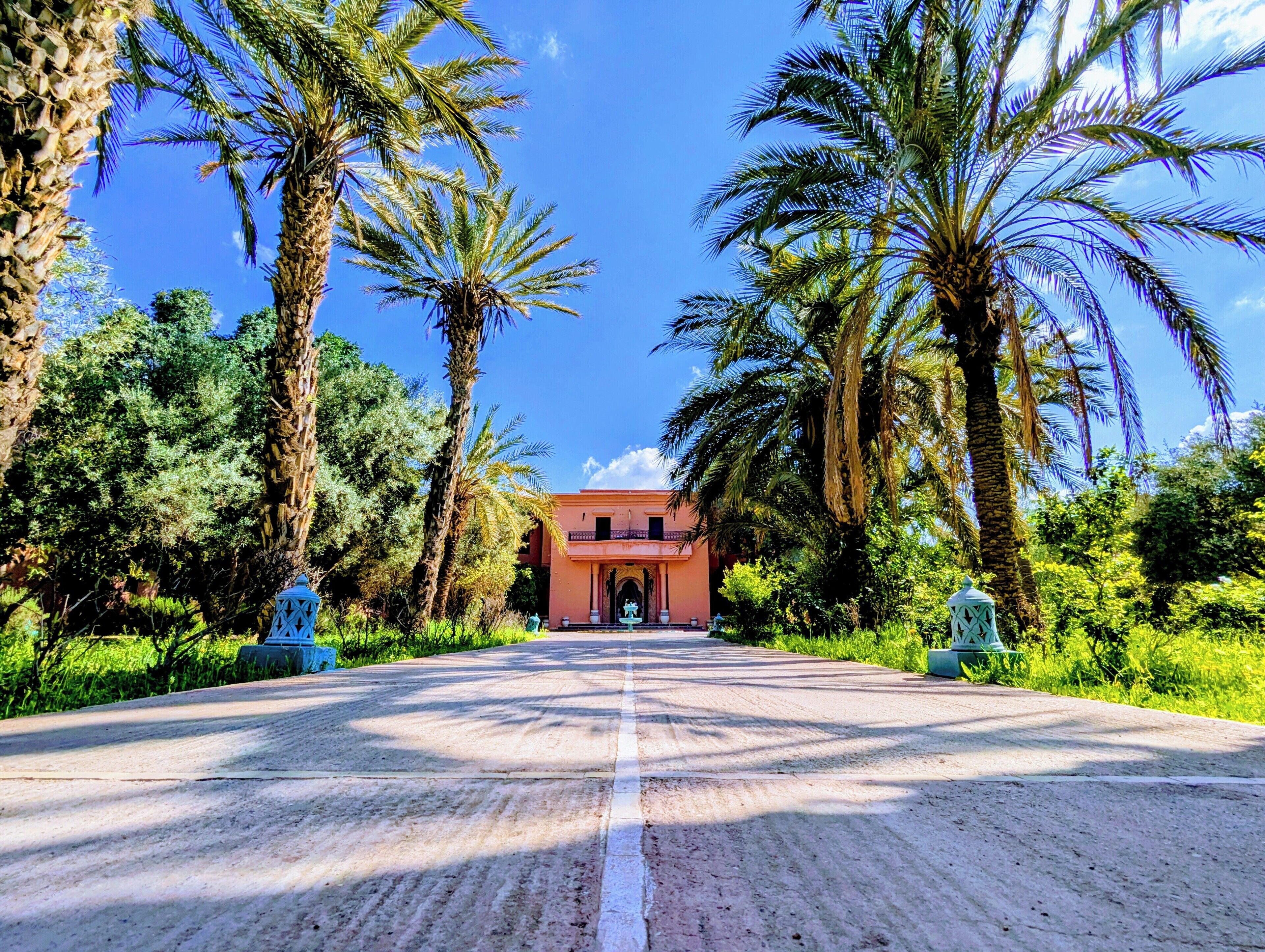 Photo - Las Palmeras