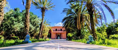A paved road leading to a building with a red facade, surrounded by palm trees and greenery.